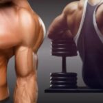 wellhealth how to build muscle tag